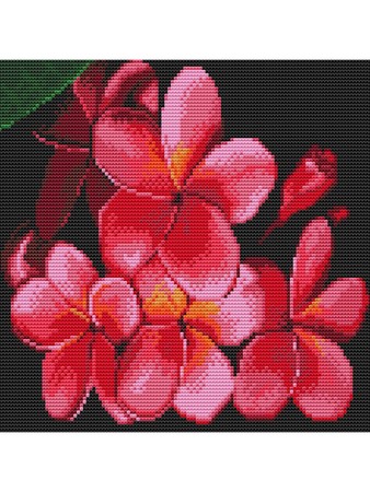 Алмазная вышивка Цветок лаоса