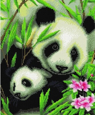Панды в тростнике