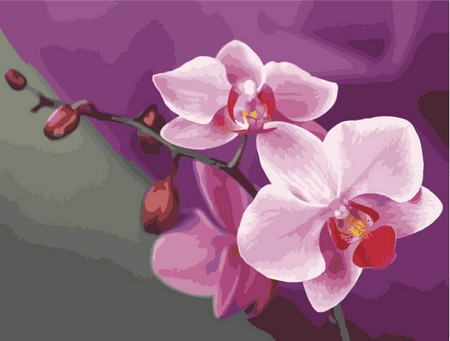 Картина по номерам Розовые орхидеи