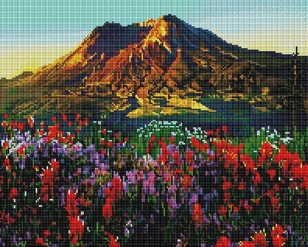 Цветущее поле у гор