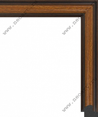  Рамка пластиковая 205.оас.202 18*24 см