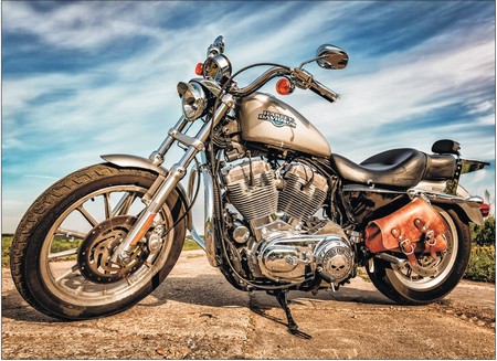 Алмазная вышивка Harley-Davidson Sportster