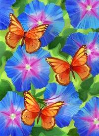 Бабочки оранжевые