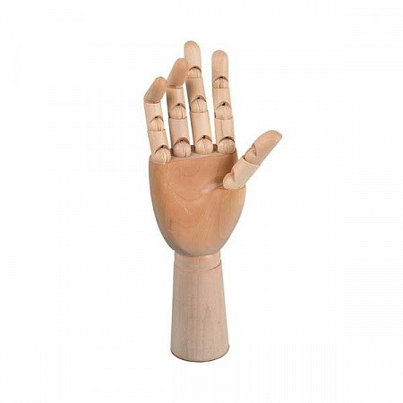 Модель руки с подвижными пальцами VMA-30 правая