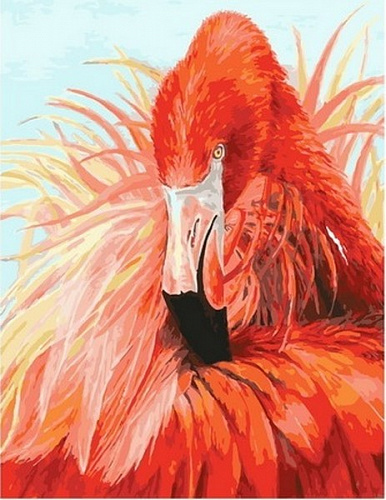 Королевский фламинго