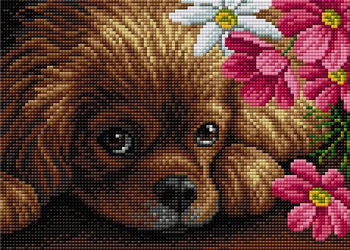 Милая собачка