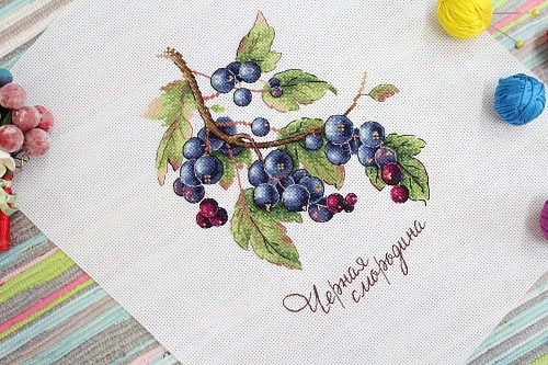 Дары природы. Чёрная смородина