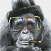 Шимпанзе в очках и шляпе