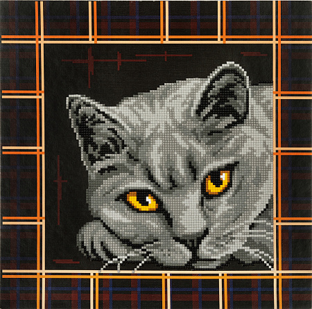 Алмазная вышивка Британская кошка