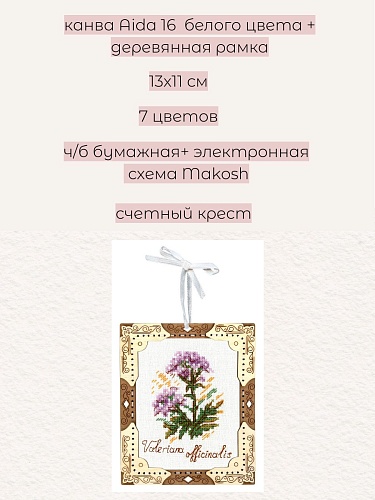 Миниатюра. Валериана