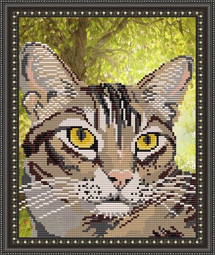 Полосатый кот