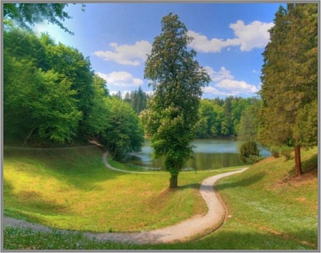 Алмазная вышивка Мелодия тишины