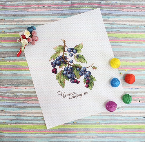 Дары природы. Чёрная смородина