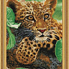 Детеныш леопарда 