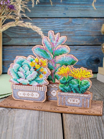 Вышивка бисером Сад суккулентов