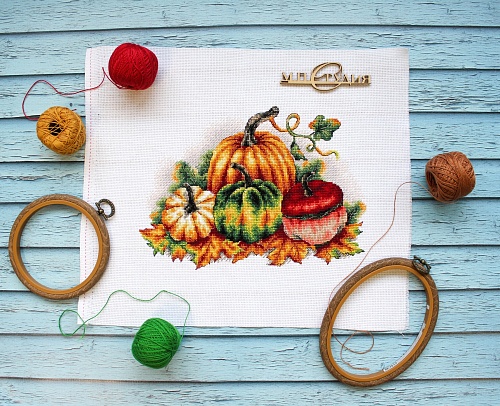 Разноцветные тыквы