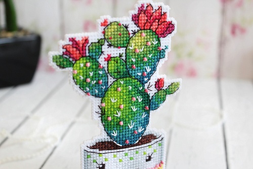 Колючий друг