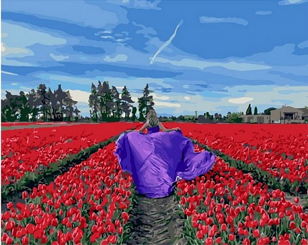 Картина по номерам Поле красных тюльпанов