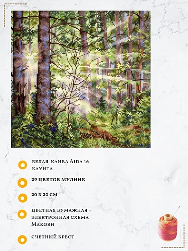 Солнечный лес