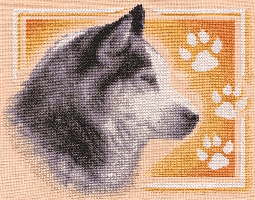 Сибирский хаски