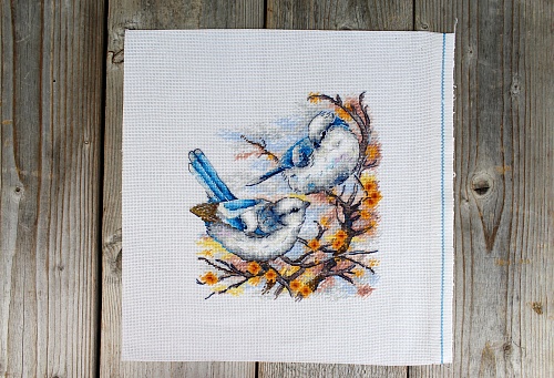 Пернатые аристократы