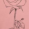 Садовая роза