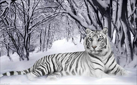Вышивка бисером Белый тигр