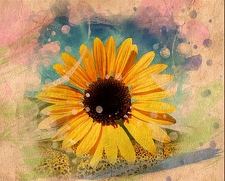 Алмазная вышивка Подсолнечник