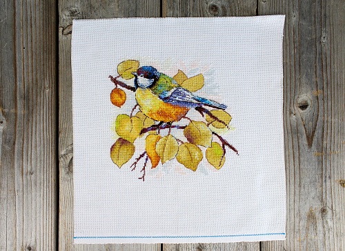 В осеннем лесу