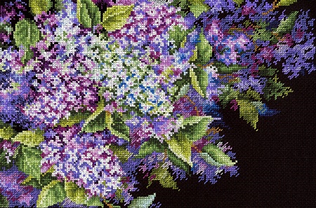 Душистая сирень