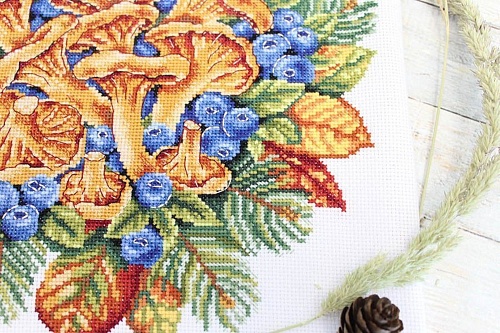 Лесные сокровища