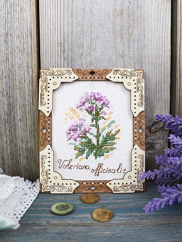 Миниатюра. Валериана