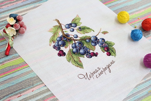 Дары природы. Чёрная смородина