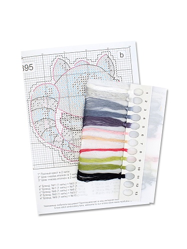 Учёный енот