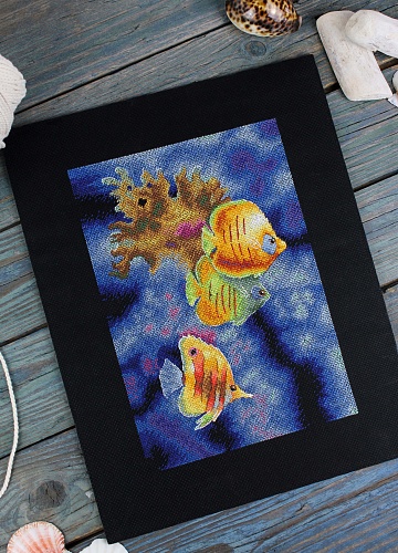 Жители кораллового рифа