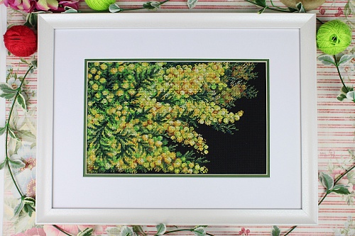 Весенняя мимоза