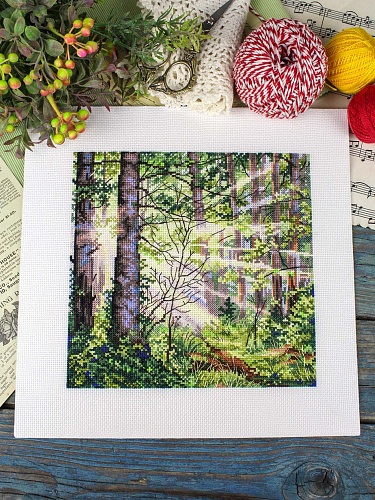 Солнечный лес