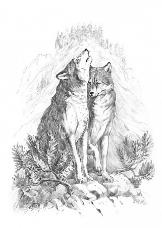 Картина по номерам Волки в горах Скетч для раскраш. чернографитными карандашами