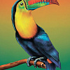 Тропическая птица