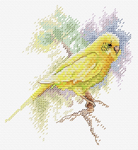 Пернатый друг