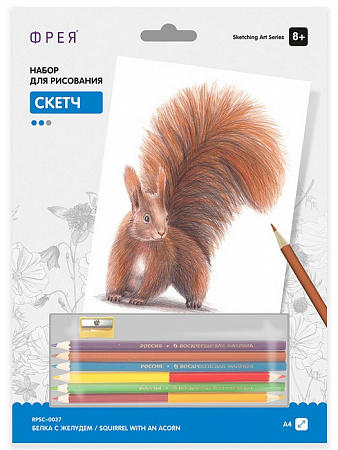 Картина по номерам Белка с желудем Скетч для раскраш. цветными карандашами
