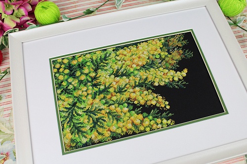 Весенняя мимоза