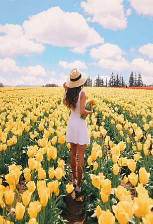Картина по номерам на холсте Желтые тюльпаны