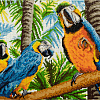 Яркие попугайчики