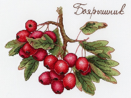 Набор для вышивания Дары природы. Боярышник