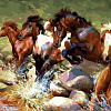 Лошади у воды