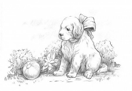 Картина по номерам Крошка щенок Скетч для раскраш. чернографитными карандашами