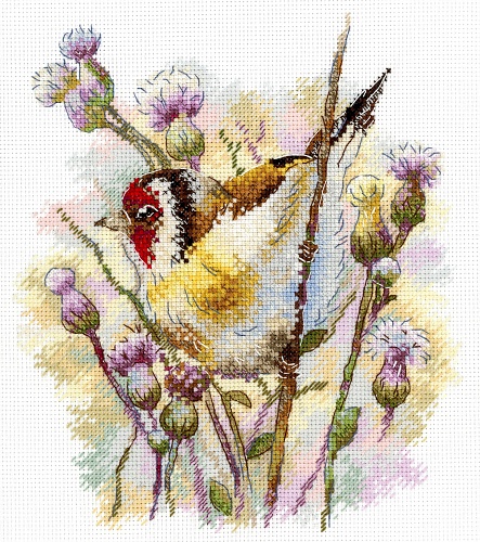 Притаившийся щегол