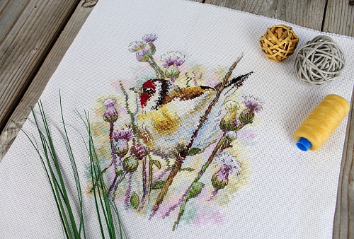 Притаившийся щегол