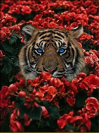 Алмазная вышивка на холсте Тигр в цветах